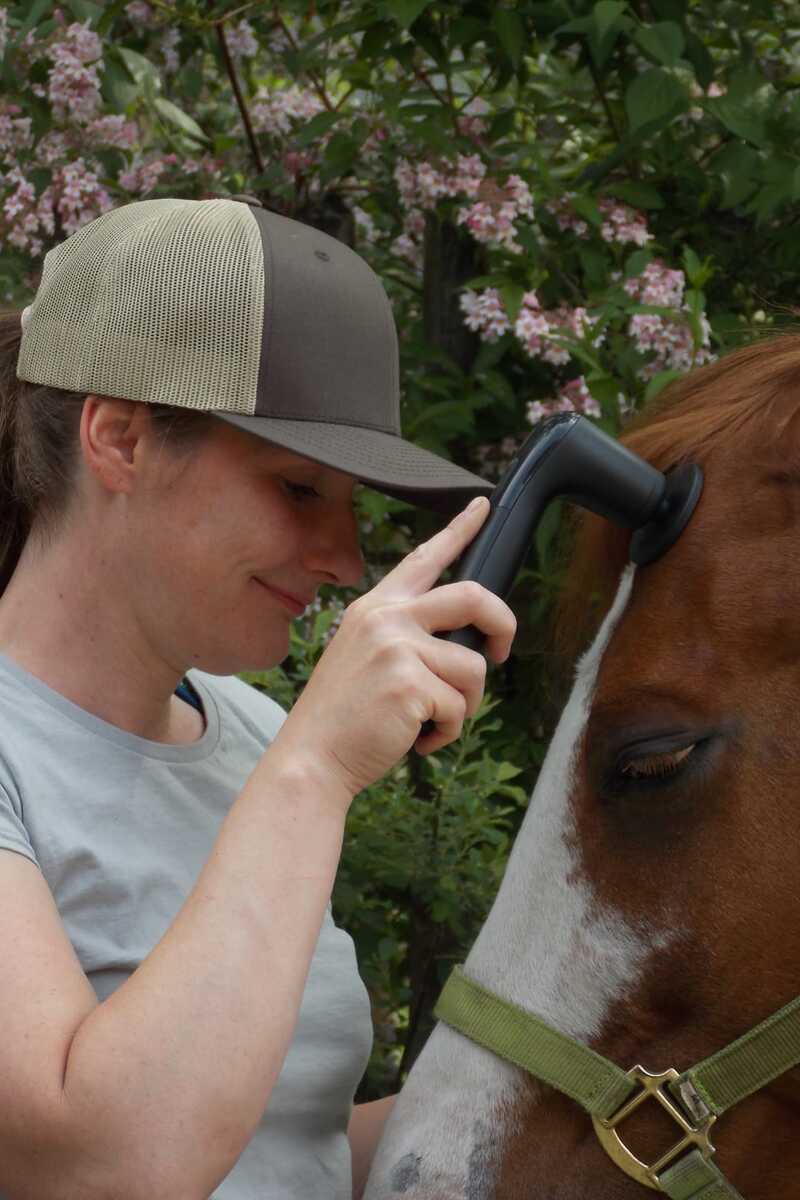 Carmen Leucht bei der professionellen Tierphysiotherapie für Hunde und Pferde in Thüringen.
